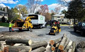 Best Stump Grinding and Removal  in Spring Grove, PA